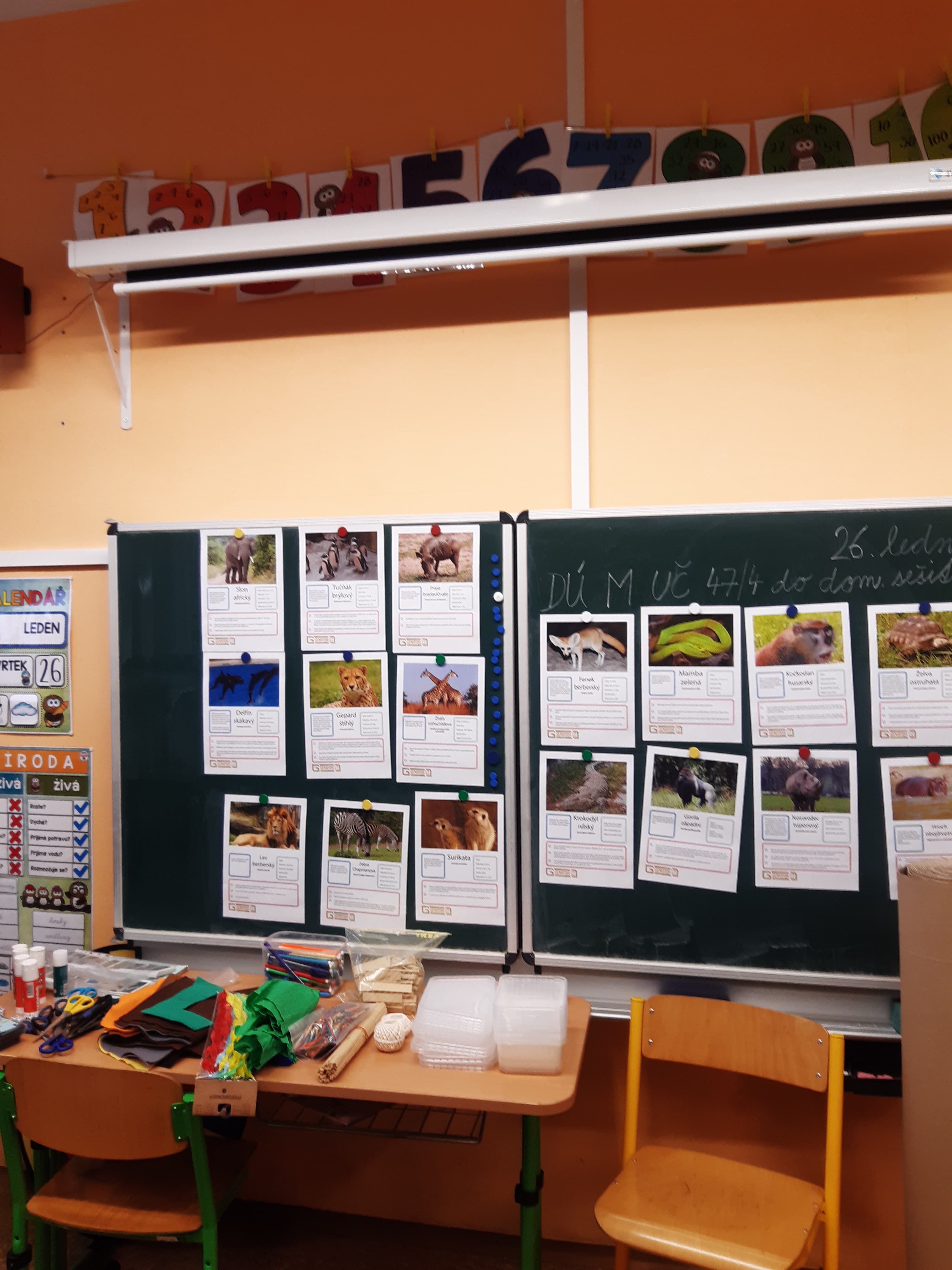 Za zvířaty do Afriky